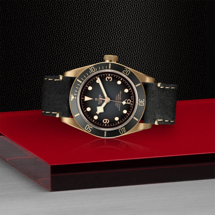 Tudor Black Bay Bronze M79250ba