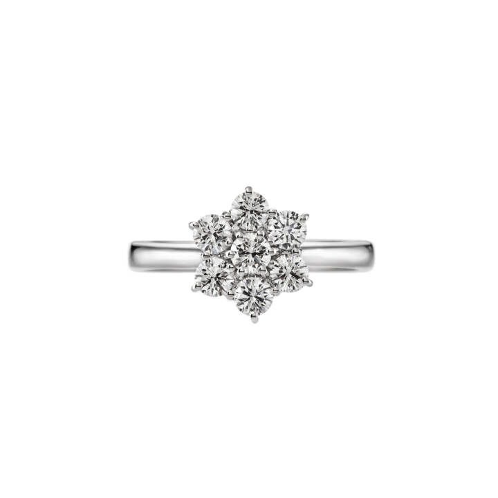 Ring Rossette 041725