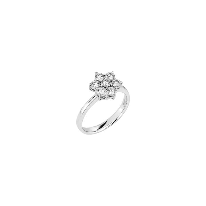 Ring Rossette 041725b