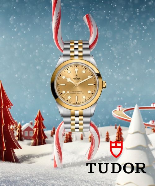 Tudor Christmas(2)