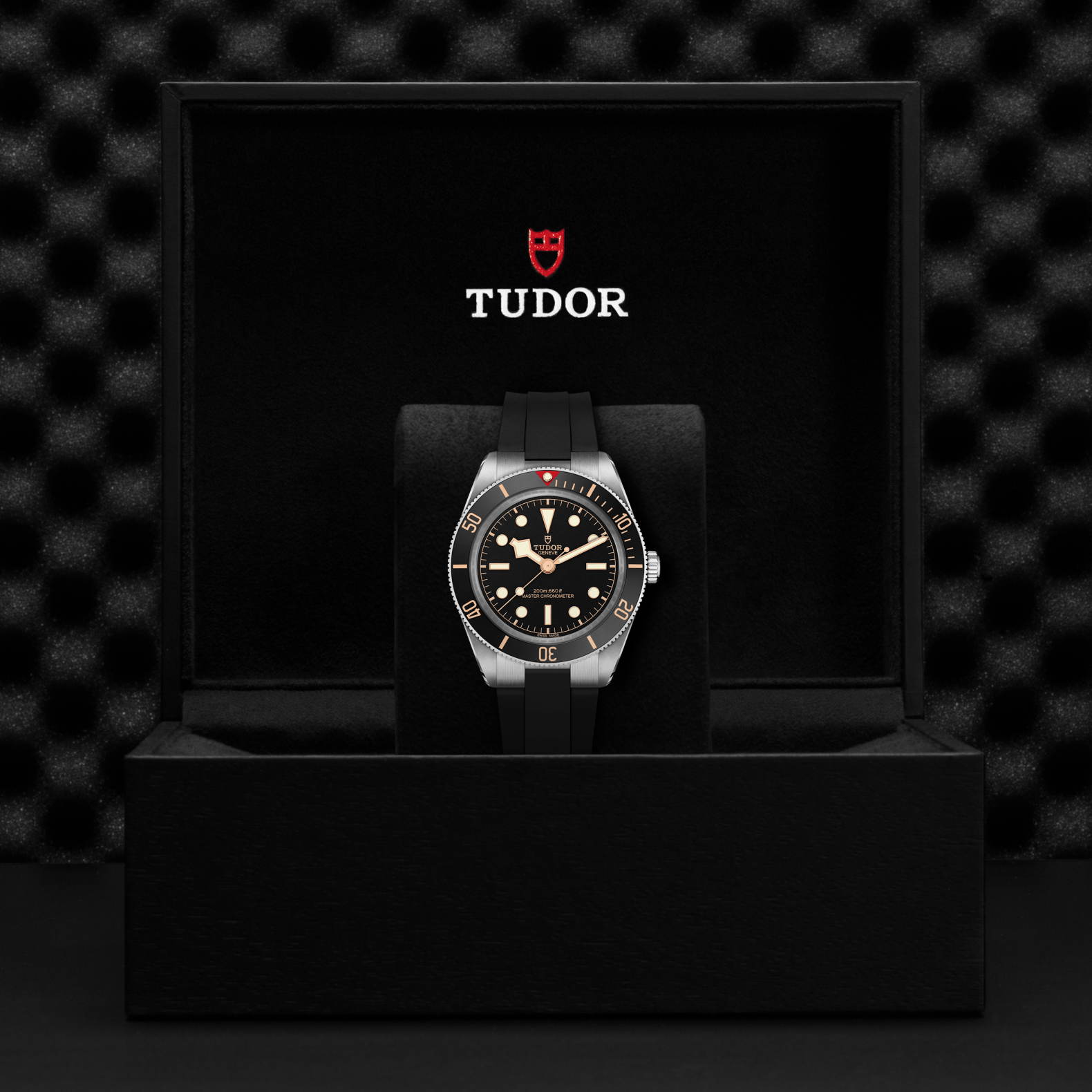 Tudor M7939a1a0nu 0003(1)